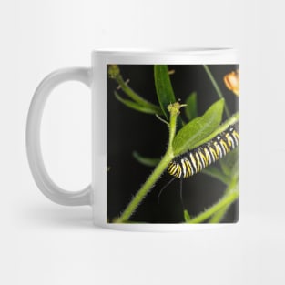 Monarch Caterpillar 3 Mug